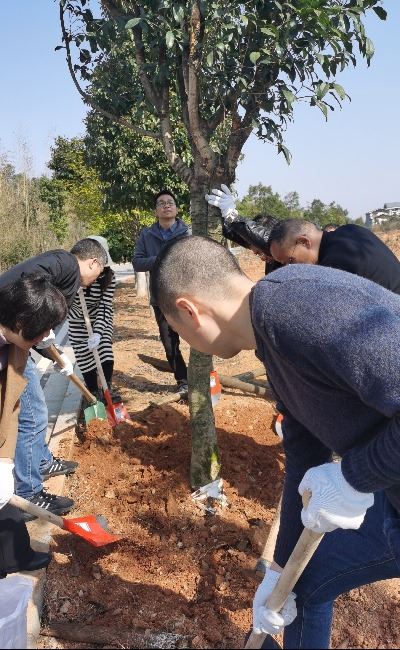 图为干部职工们一起万世娱乐植树